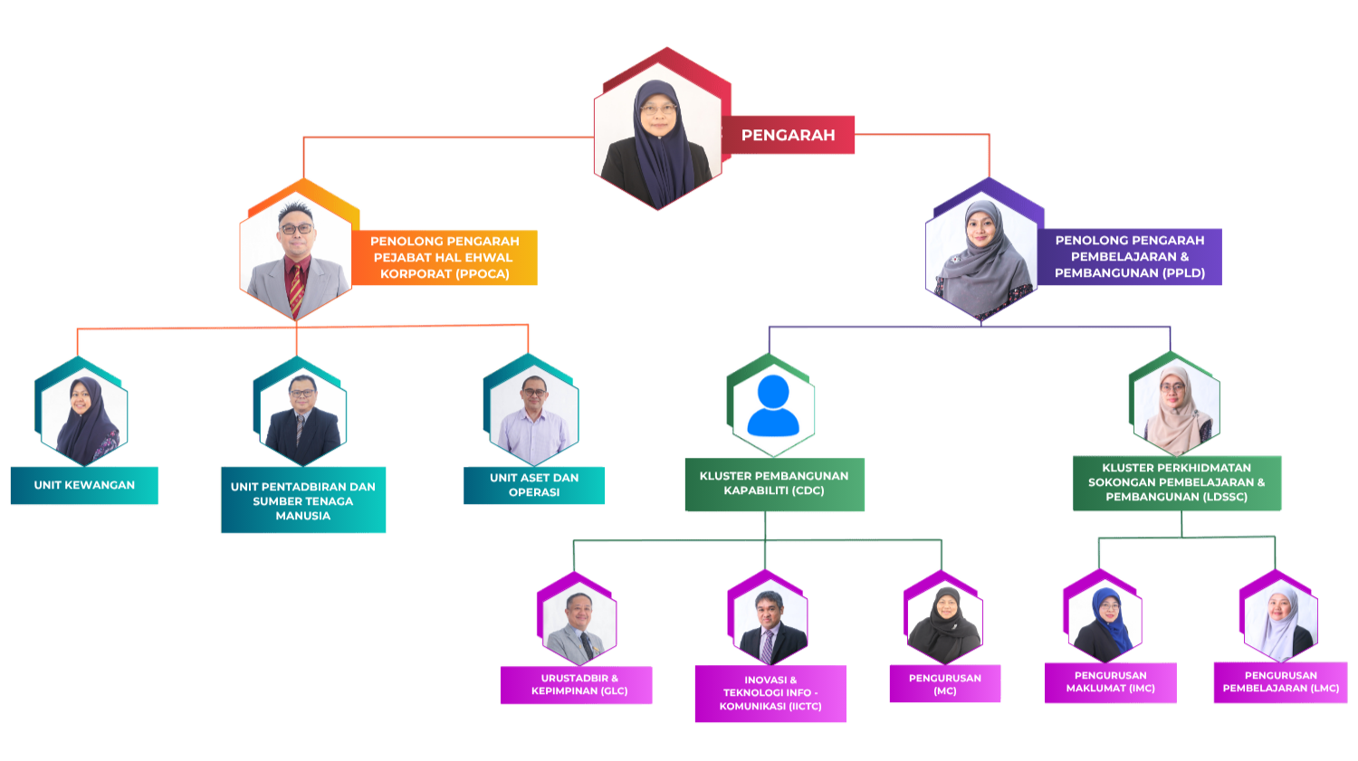org chart